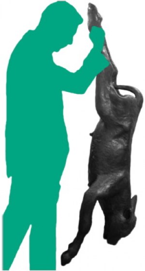 Model telete pro n&aacute;cvik dystokie